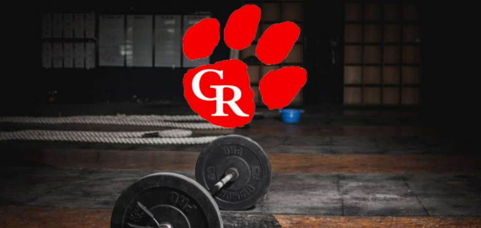 Go Tigers!