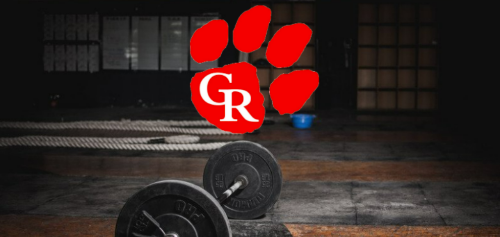 Go Tigers!